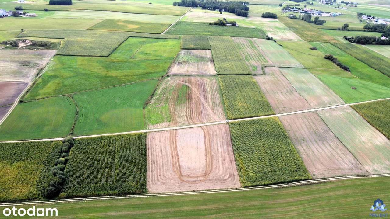 Na sprzedaż siedlisko + ziemia rolna; 5,25 ha, gm. Bargłów Kościelny-6