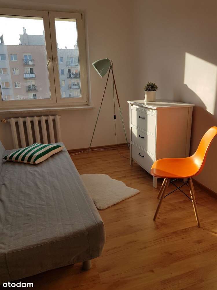 3 Pok w Super Lokalizacji - Pełny obrazek: 5/11