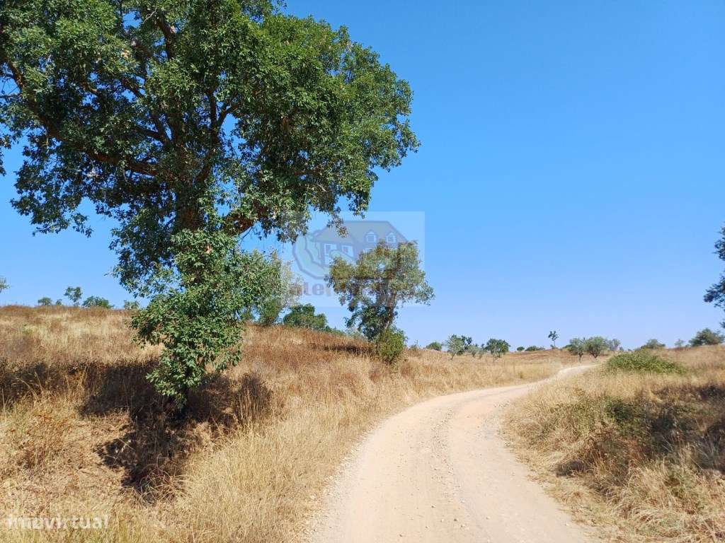 Monte Alentejano com várias ruínas para recuperar - 20 minutos Lago...-14