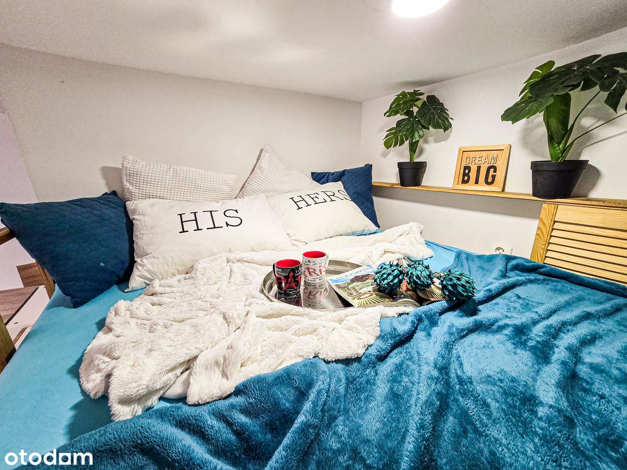 Aparatament z antresolą w centrum Katowic BEZ PROWIZJI-1