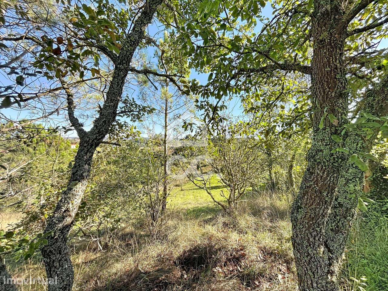 Terreno misto, Alvorninha - Grande imagem: 4/23