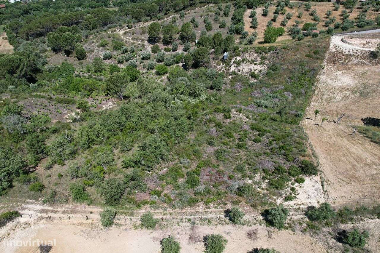 Terreno Rústico em Tomar - Grande imagem: 5/17