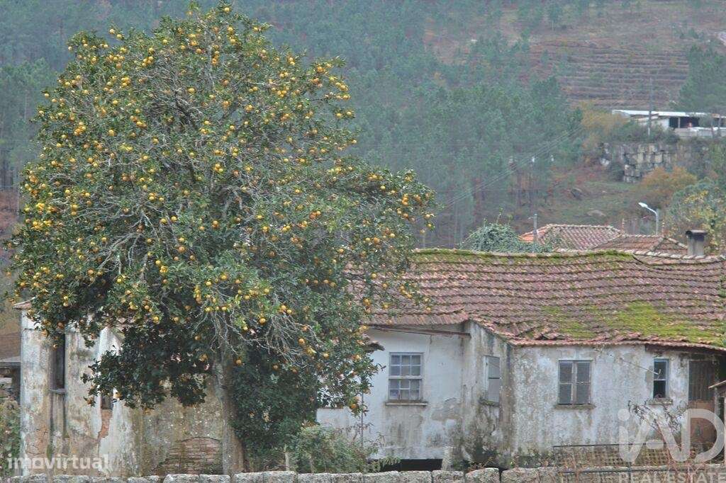 Casa tradicional T3 em Gondomil e Sanfins de 146,00 m2 - Grande imagem: 5/19