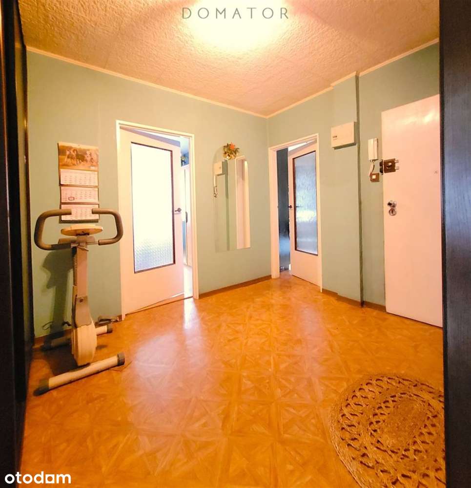 3 duże pokoje, balkon, niski blok przy Parku Róż-9