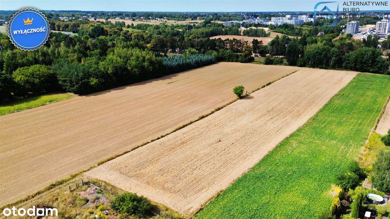 Atrakcyjna działka budowlano-rolna w Stasinie - Pełny obrazek: 3/19