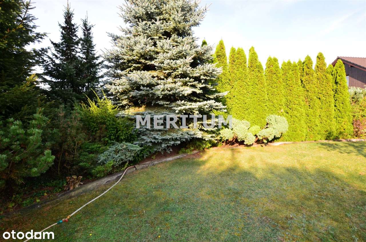 Dom jednoroidzinny o pow 247 metrów - Pełny obrazek: 5/20