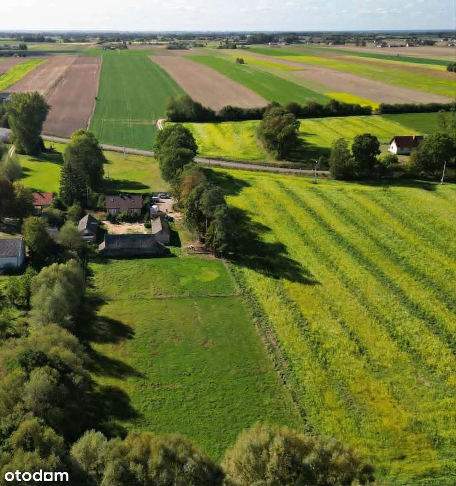 Dom po remoncie w siedlisku 19 km od Płocka, z linią brzegową rzeki.