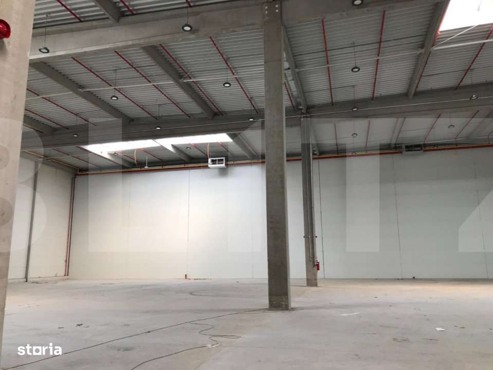 Hala moderna, aproape de aeroport, 3000 mp - Imagine principală: 3/7