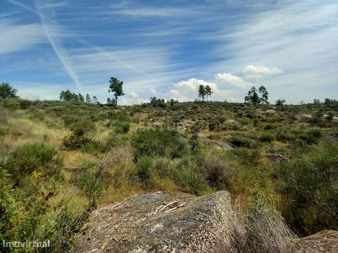 Terreno Rustico com 13300m2 Palvarinho-Salgueiro do Campo - Grande imagem: 2/10