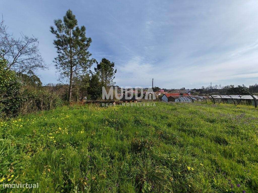 Terreno rústico para construção, em são João de Loure e Frossos, Alber - Grande imagem: 2/6