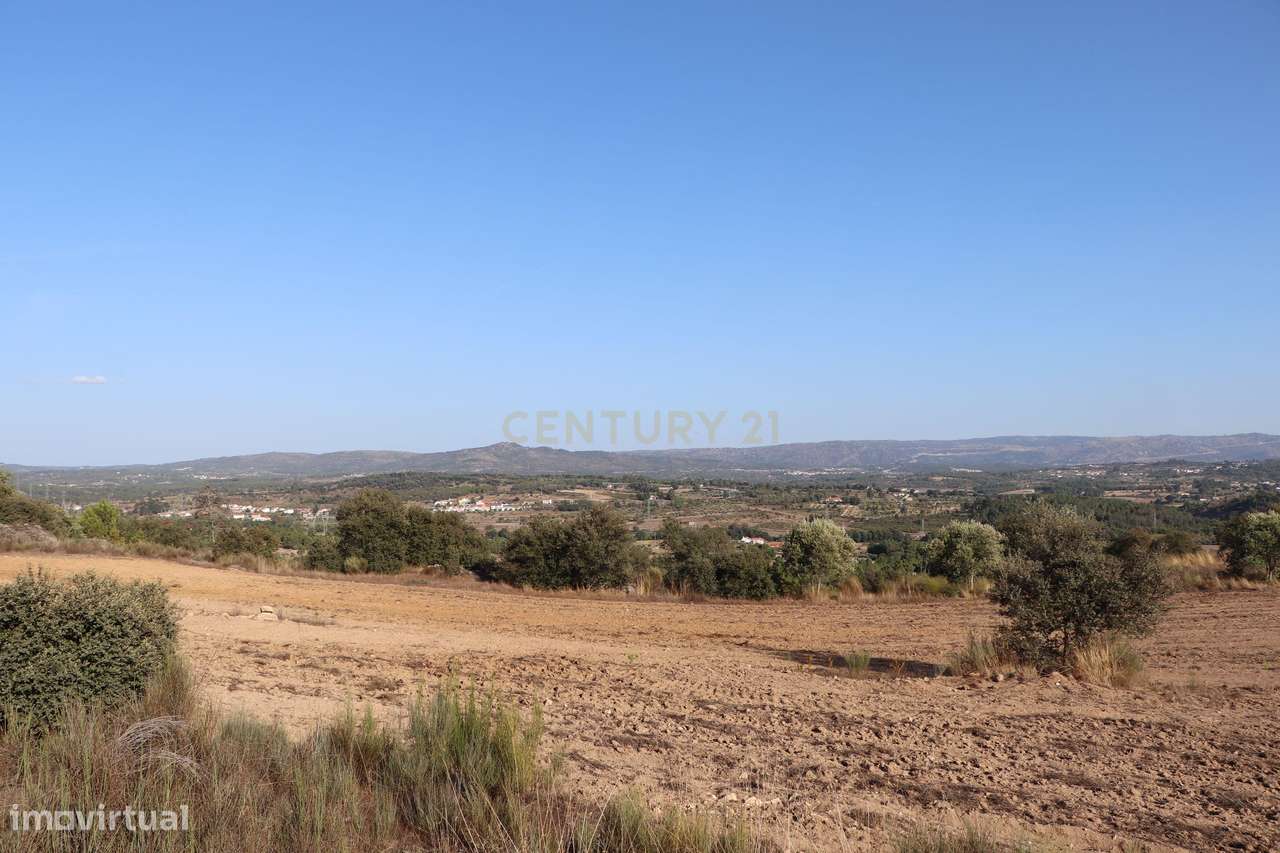 Quinta em Celorico da Beira com 5,9 ha com vista para Celorico Gare e - Grande imagem: 4/16