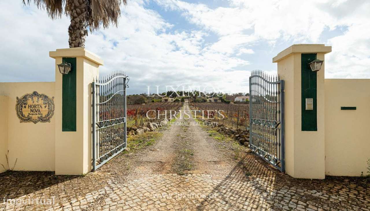 Propriedade com 3 moradias rodeadas de vinhas, Praia da Luz, Lagos - Grande imagem: 4/26