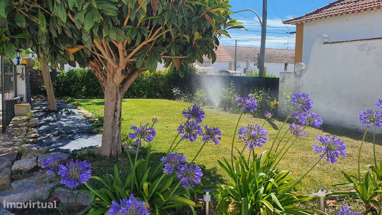 Encantadora Propriedade com 2 Moradias Tradicionais - Grande imagem: 3/60