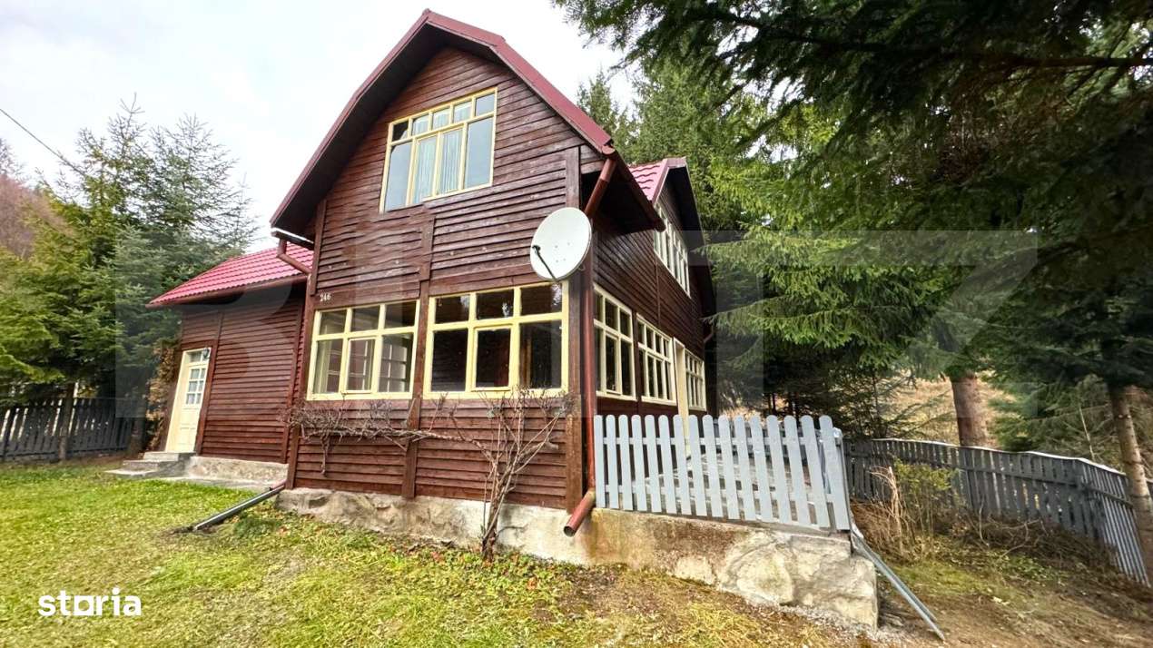 VAND CASA DE VACANTA LA COLIBITA, CU VEDERE SPRE LAC - Imagine principală: 5/19