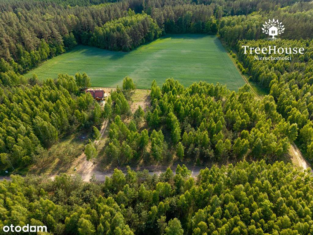 Mazury gotowy projekt las jezioro siedlisko-9