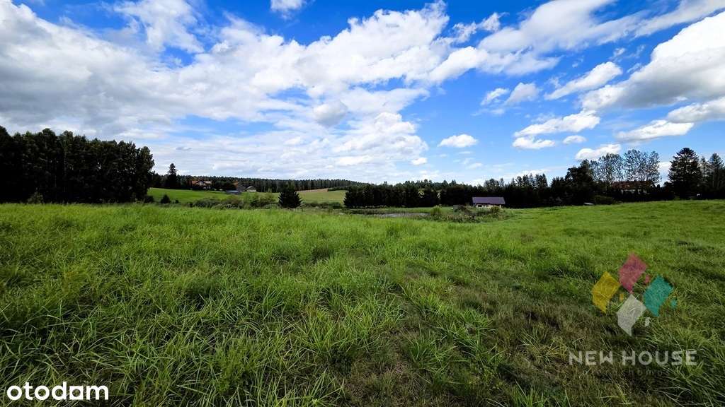 Działka z widokiem na las, możliwość zabudowy - Pełny obrazek: 4/8