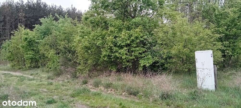Działka bud. z mediami/30 km od W-wy/otulina lasu-4