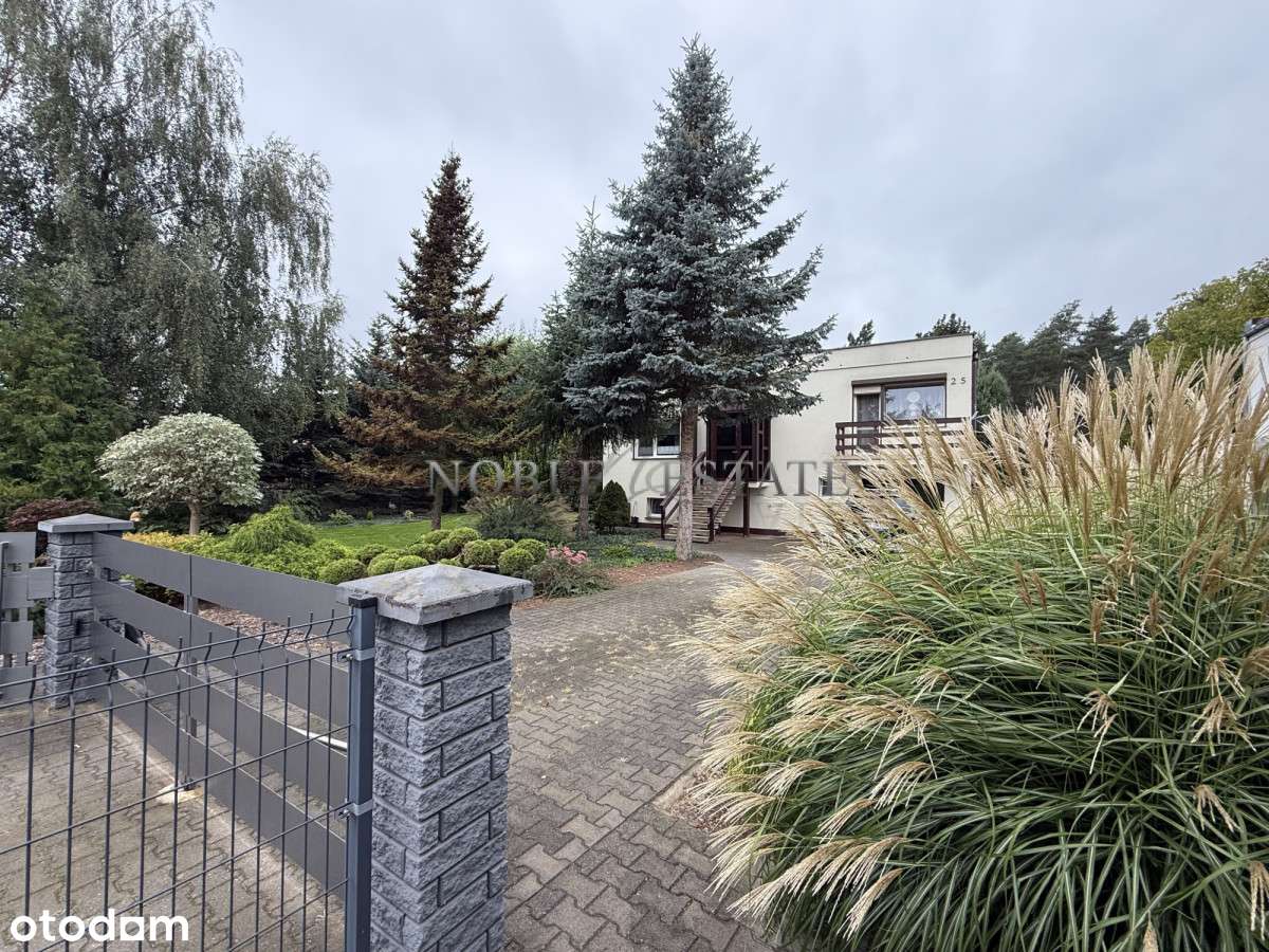 Cudowny ogród pod ścianą lasu-17