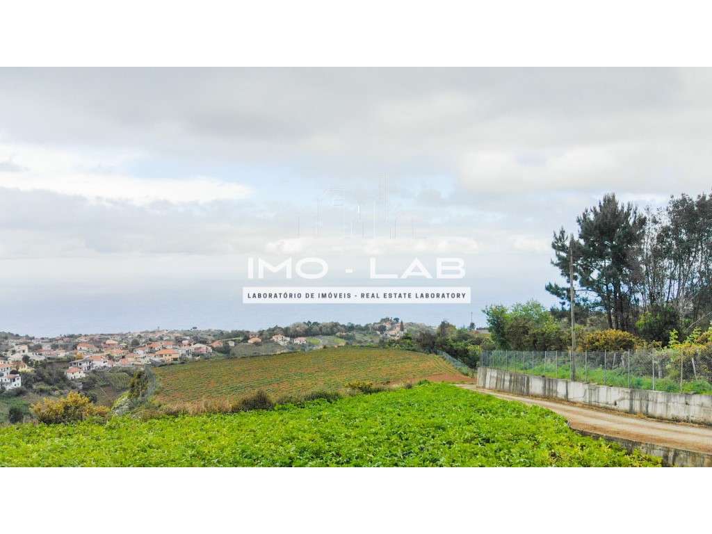 Armazém + 25.566m2 de Terreno Cultivado - São Jorge - Santana-2