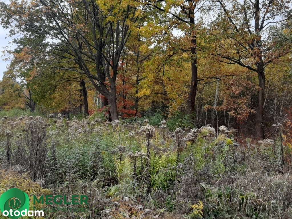Działka w otulinie lasu-0