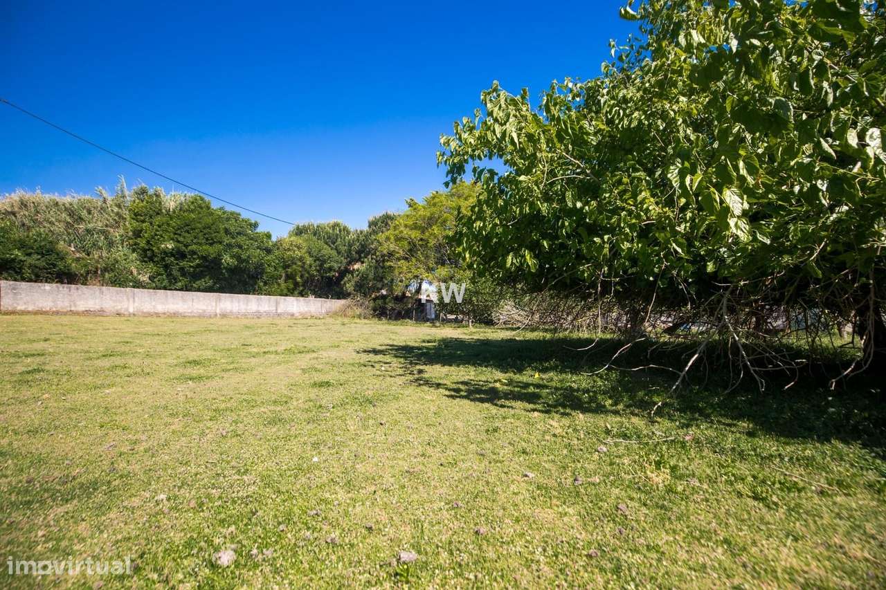 OPORTUNIDADE  - Viva entre o campo e o mar – Quinta com potencial a 15 - Grande imagem: 5/49