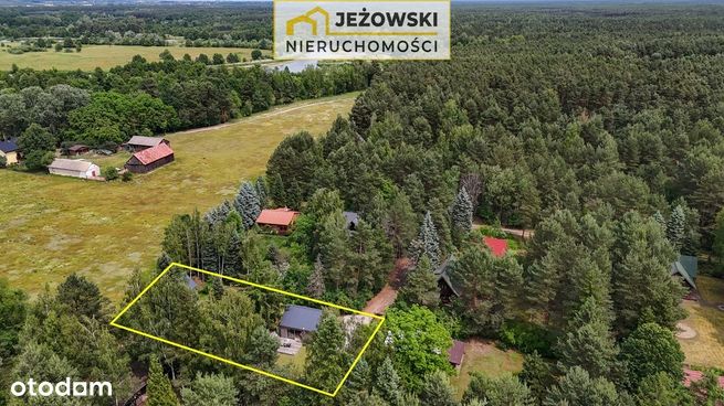 Dwa domki na wynajem nad Pilicą, 56km od W-wy.-9