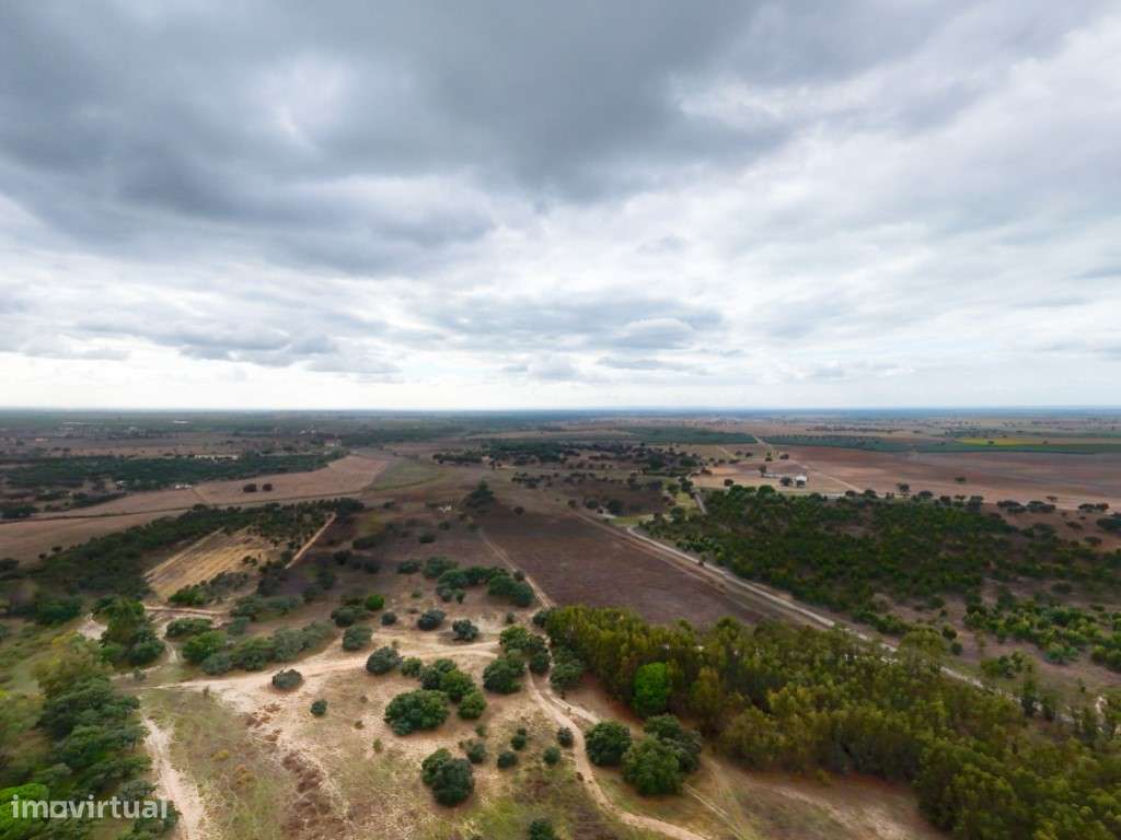 TERRENO DE 22,45 HA COM RUÍNA DE 240 M² PARA RECUPERAÇÃO EM FERREIR...-8