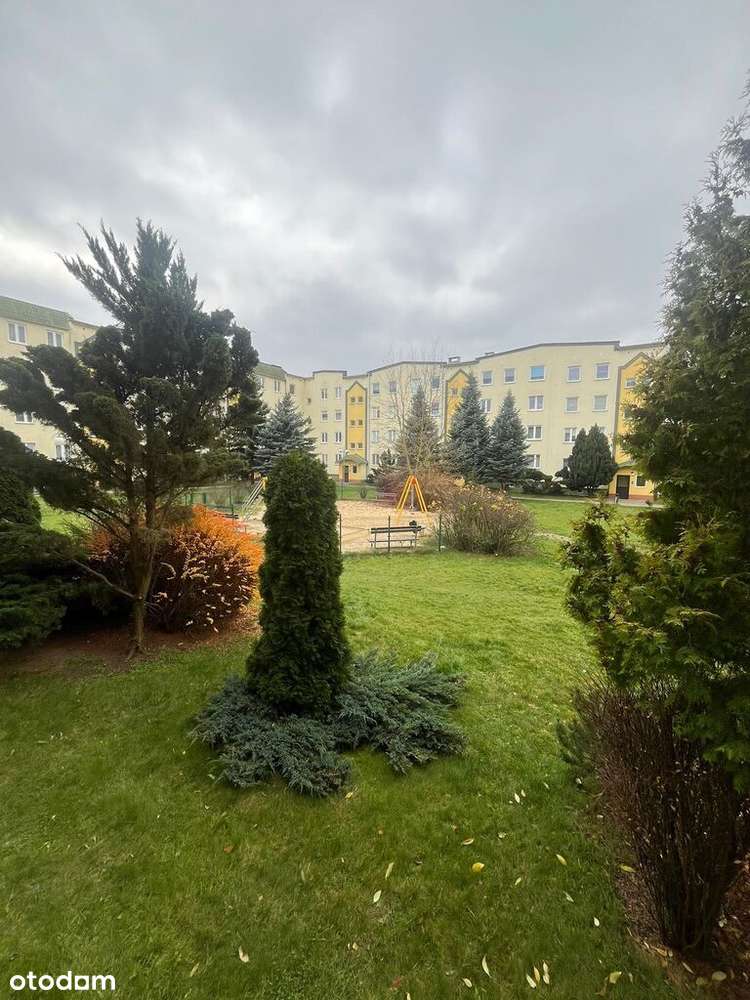 Komfortowa kawalerka po remoncie Górczyn - Pełny obrazek: 5/5