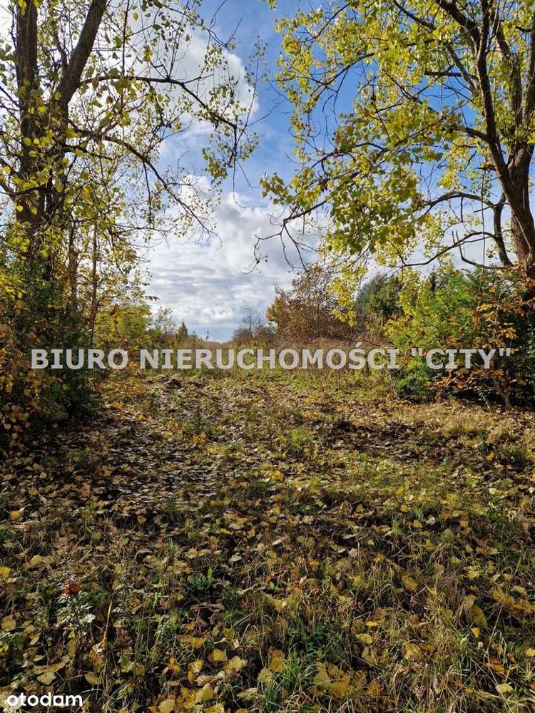 Działka, 2 178 m², Sławków-1