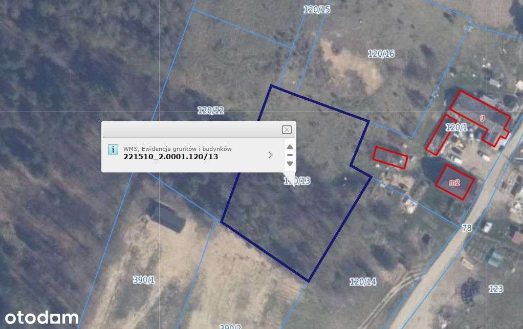 3 działki - 2,5 km od jeziora - 2 w linii rzeki. - Pełny obrazek: 2/5