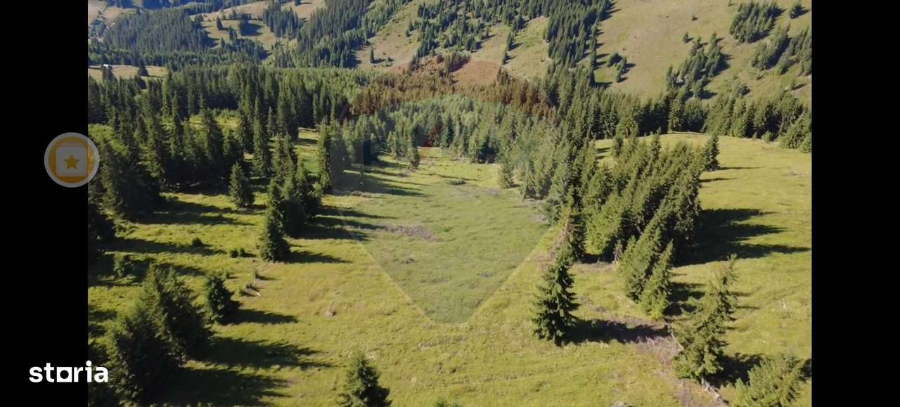 Teren 24,581mp Panaci / Strada Mihăileț - Imagine principală: 5/11