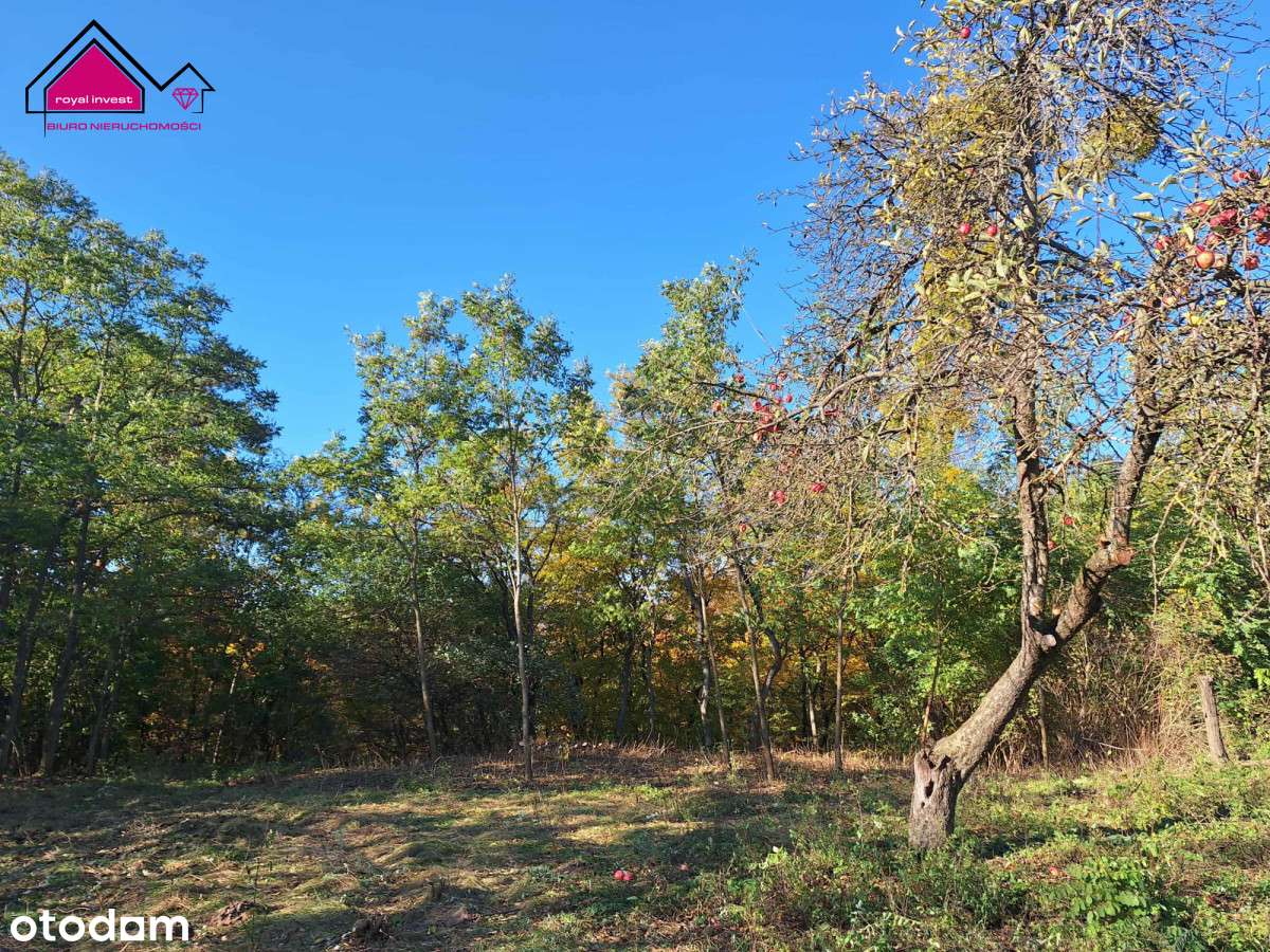 Unikatowa działka dla konesera ciszy i przestrzeni-4