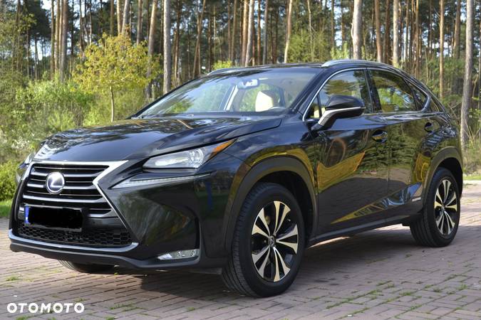 Lexus NX 300h - 5