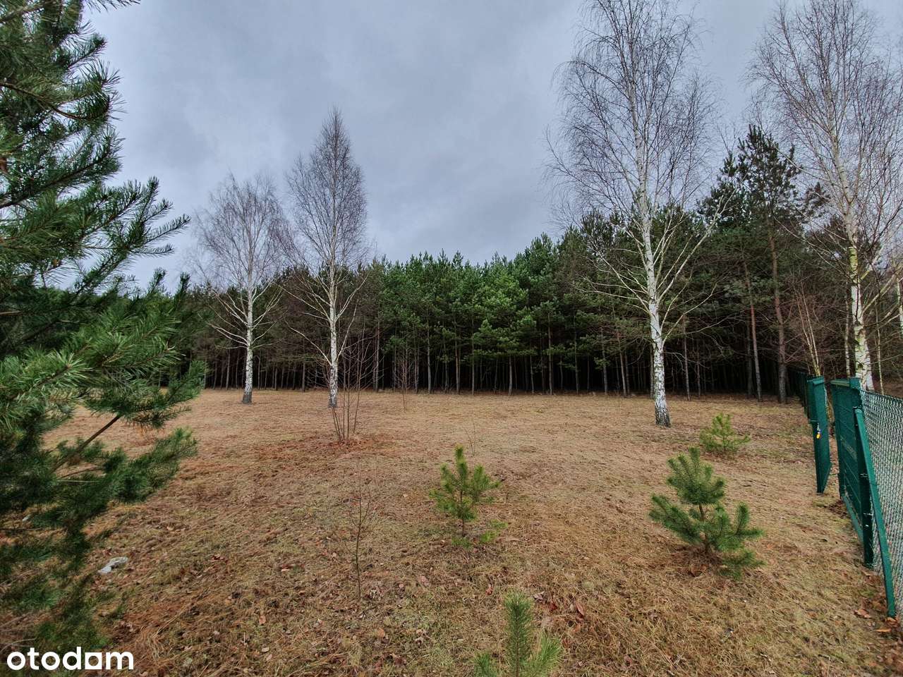 Działka z pozw. na budowę, projekt Inovia, j. Białe-5