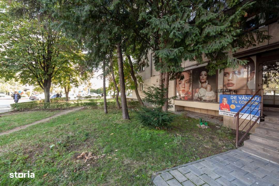 De vanzare- Spatiul Care Iti Poate Transforma Afacerea Pitesti-Exercit - Imagine principală: 2/16