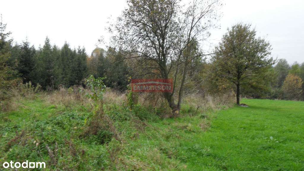 Olszowice, bud.rolne, 36 arów - Pełny obrazek: 5/7