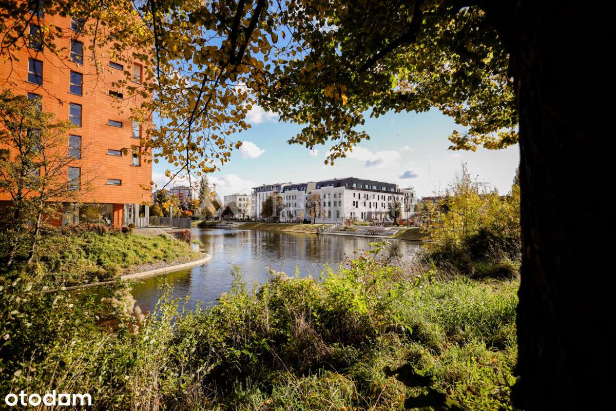 Lokal użytkowy w historycznej części Gdańsk-6