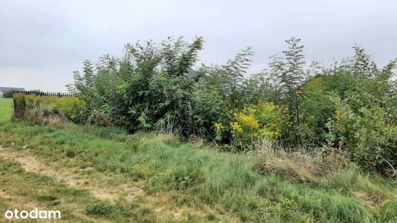 Rewelacja Piękna działka od 1000m2 do 2500m2-Budowlana 6 lokali zobacz - Pełny obrazek: 4/9