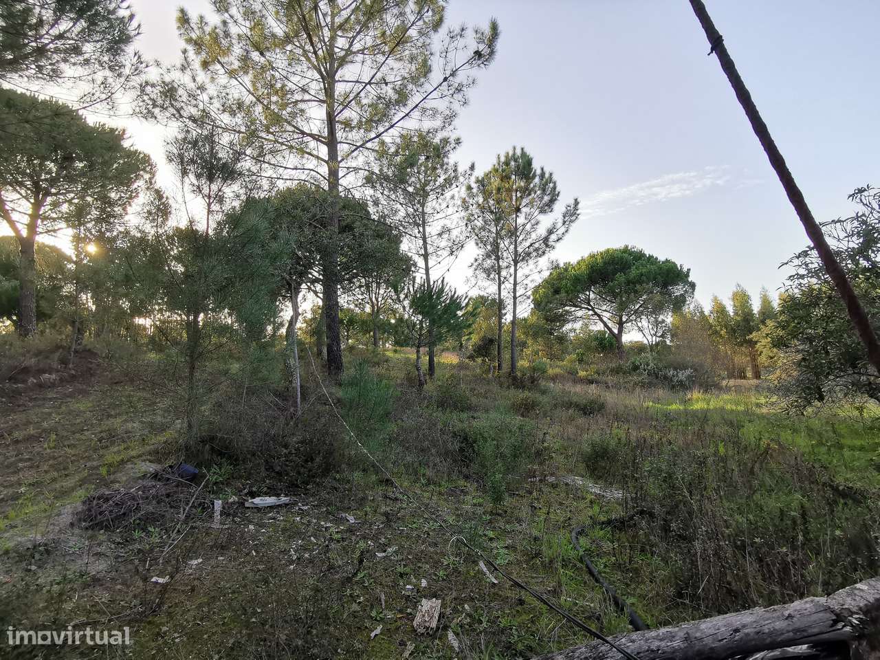 Moradia T2  Lamarosa de Coruche-33