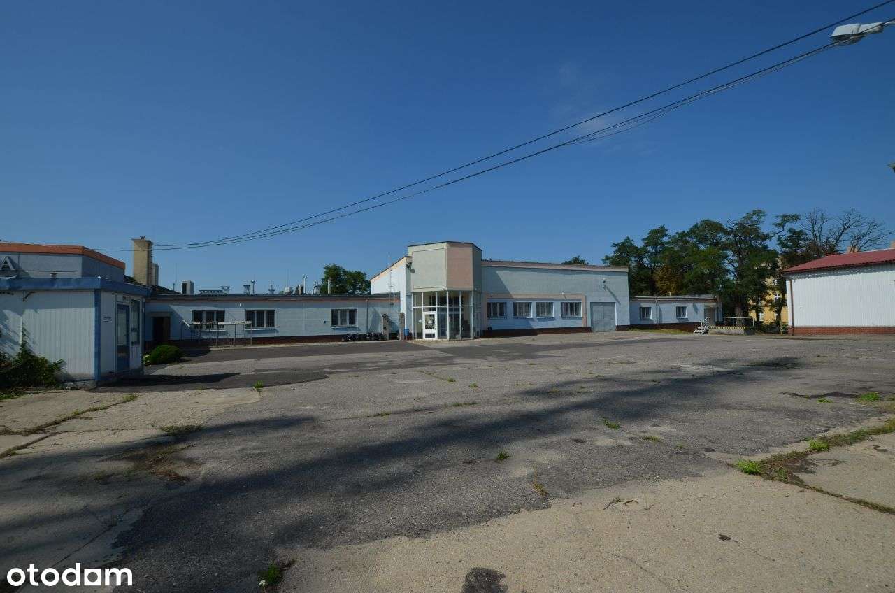 Sprzedaż Nieruchomości - Głogów-8