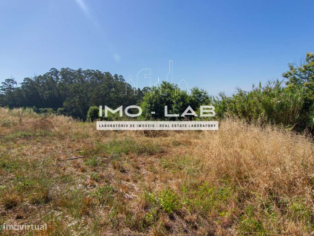 Terreno com 2962m2 - Ponta do Sol - Vista Mar e Serra!-8