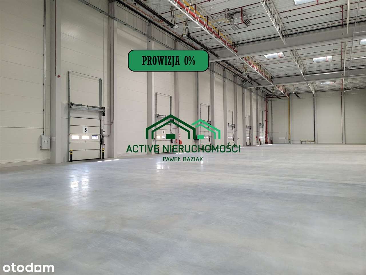 Powierzchnia magazynowa, hala, 2400m2, 0% Prowizj - Pełny obrazek: 4/5