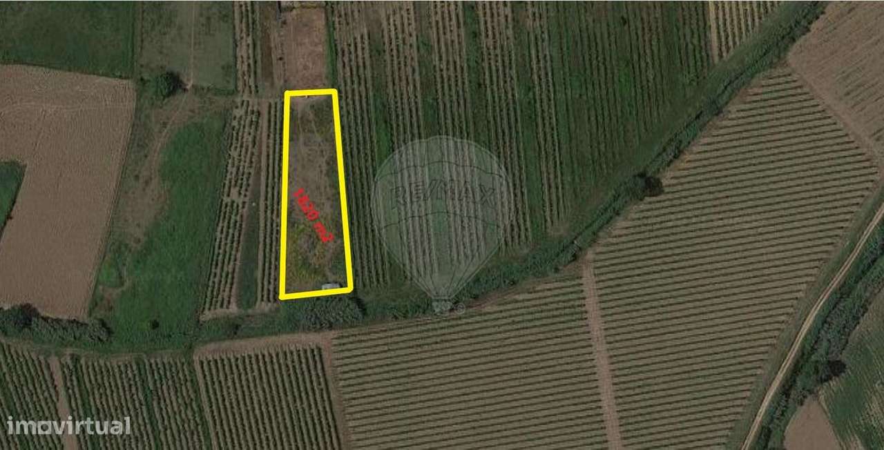 Terreno  para venda - Grande imagem: 4/4