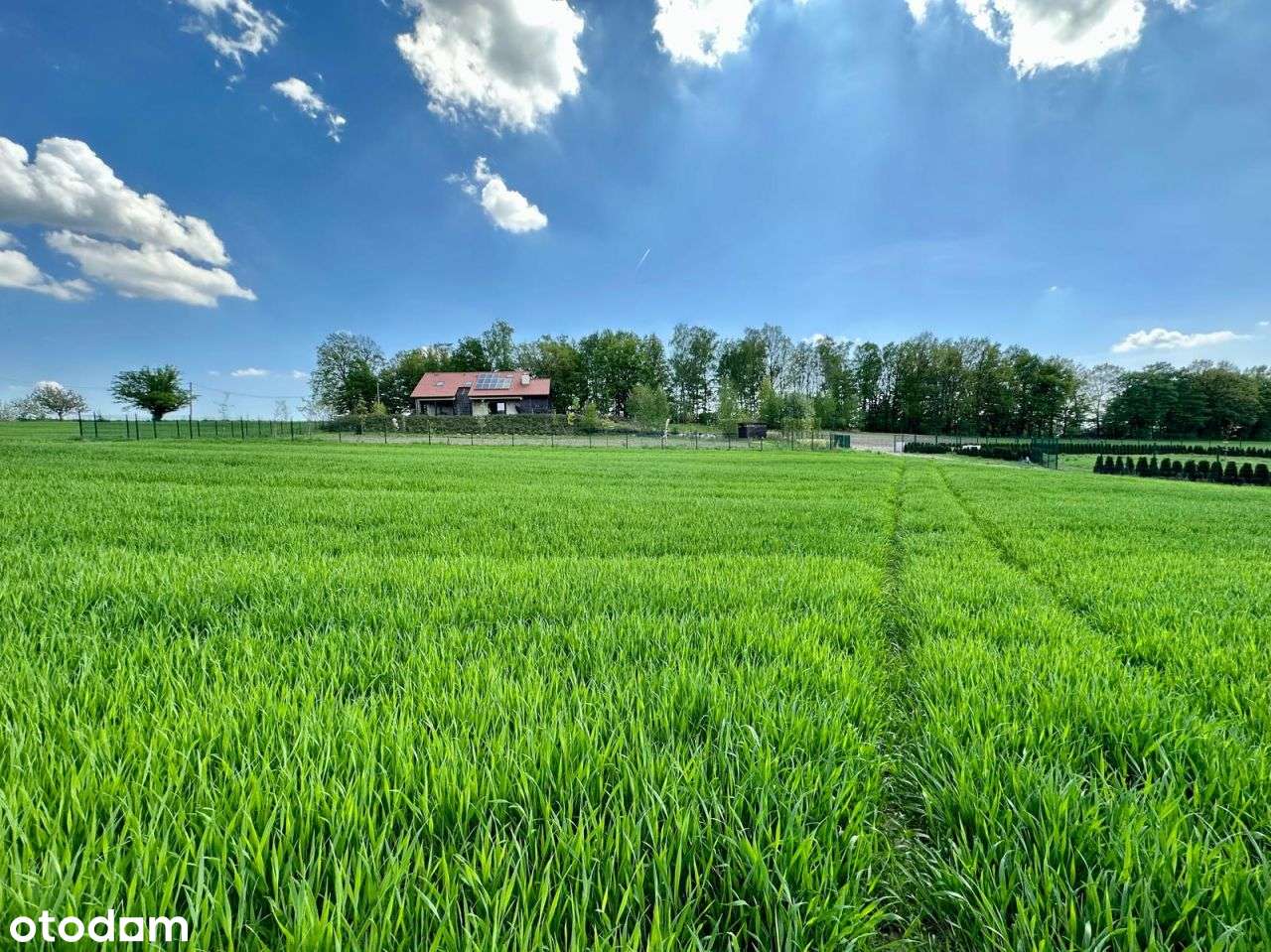Działka pod lasem | doprowadzony wodociąg-7