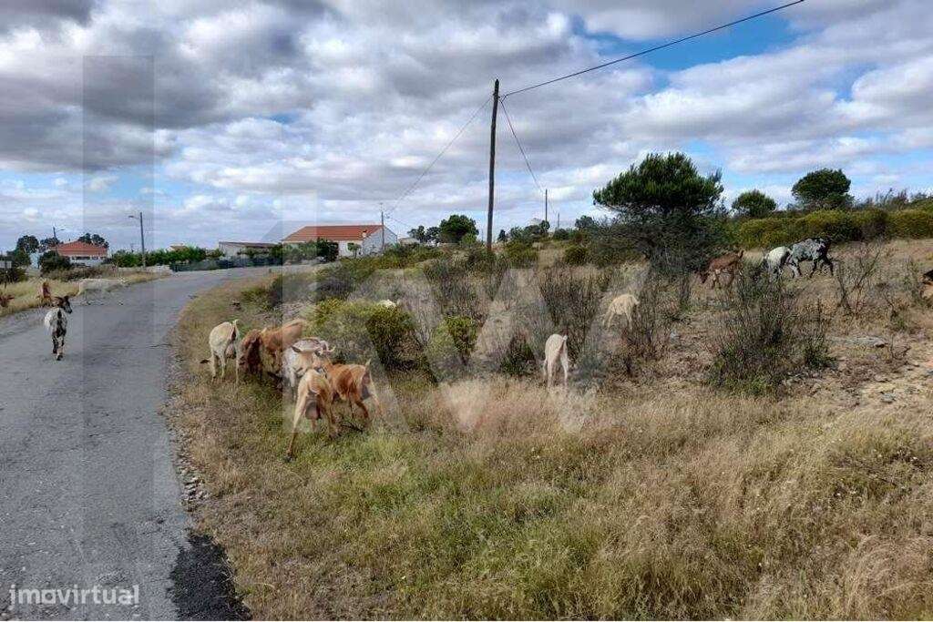 Quinta para Reconstruir na Fonte Zambujo, Pereiro, Alcoutim - Grande imagem: 4/60
