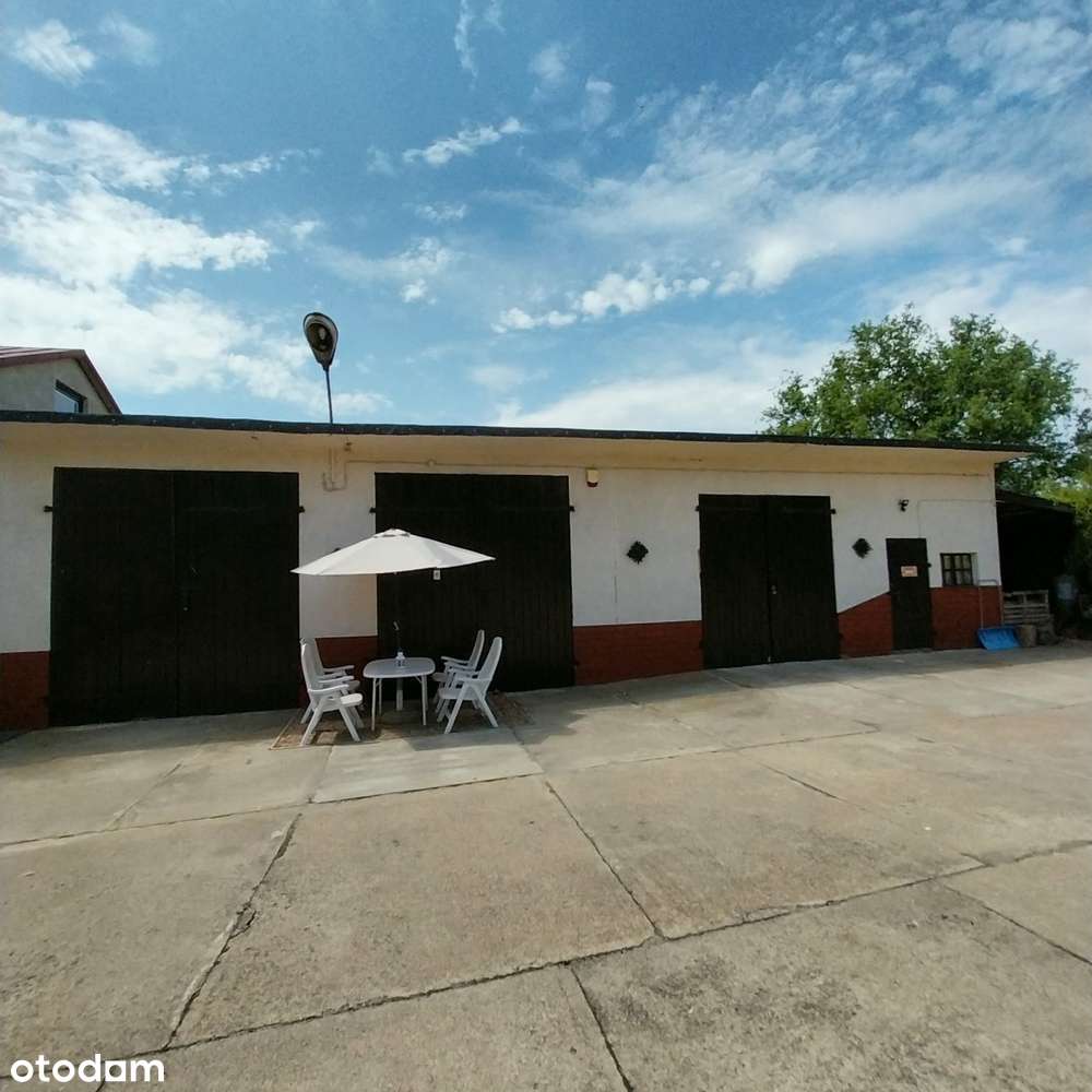 Gotowy biznes-sad-magazyny-chłodnie-biuro-dom / UKR-9