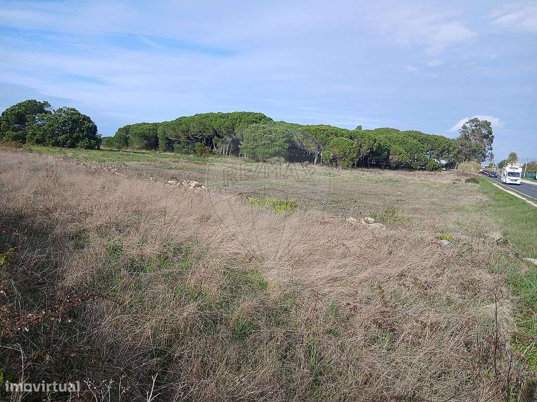 Terreno  para venda - Grande imagem: 4/12