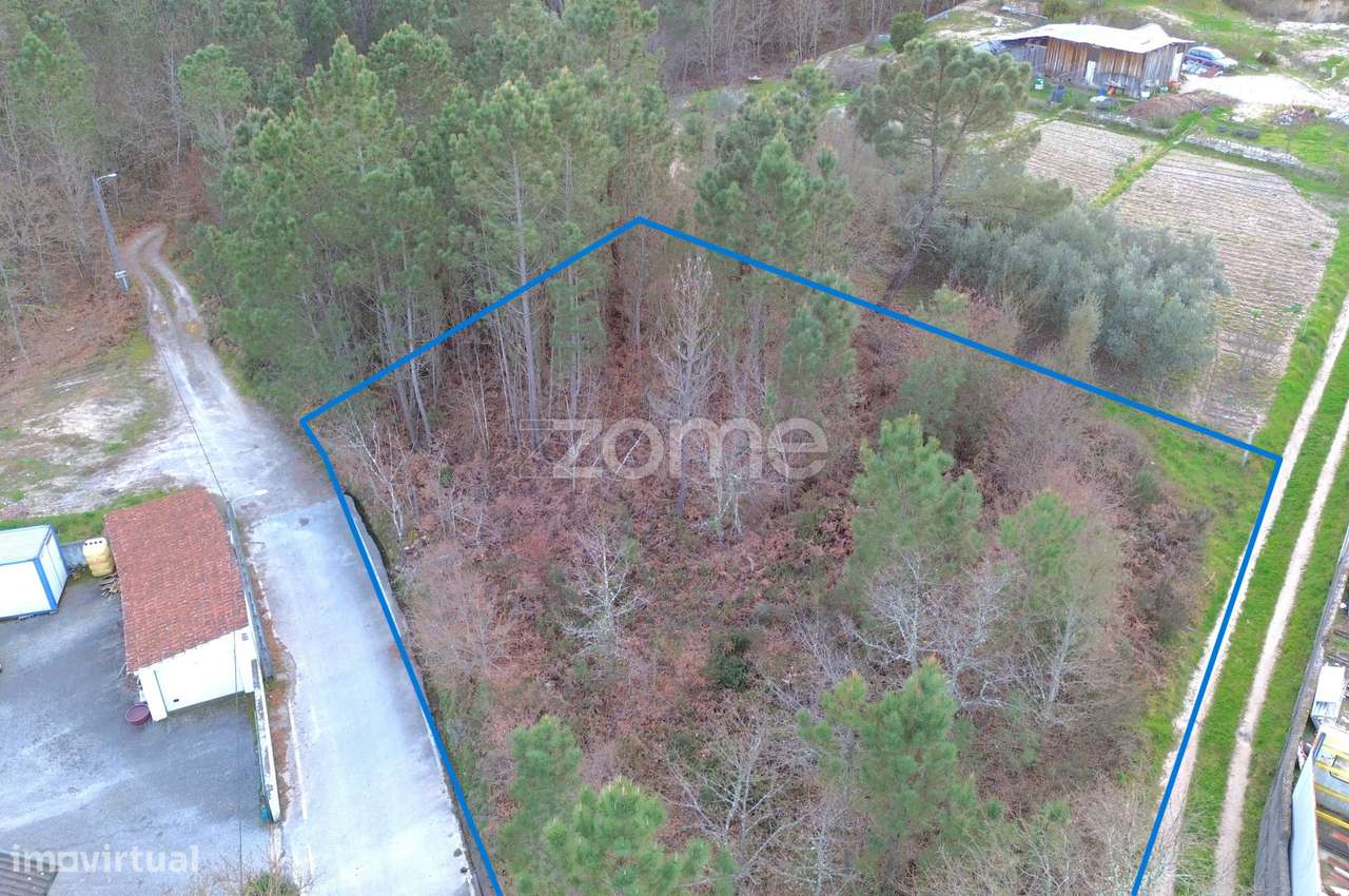 Terreno em Calde, Almargem (Viseu) – 1300 m2 - Grande imagem: 2/15