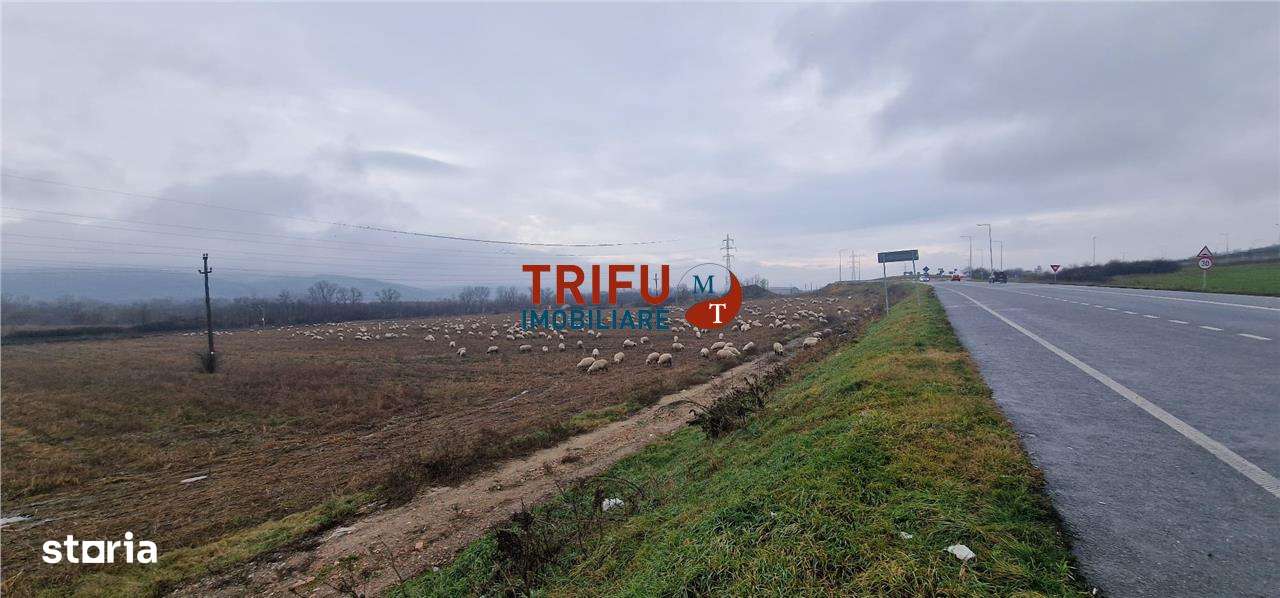 Teren extravilan 6257mp în drumul Clujului - Imagine principală: 5/9