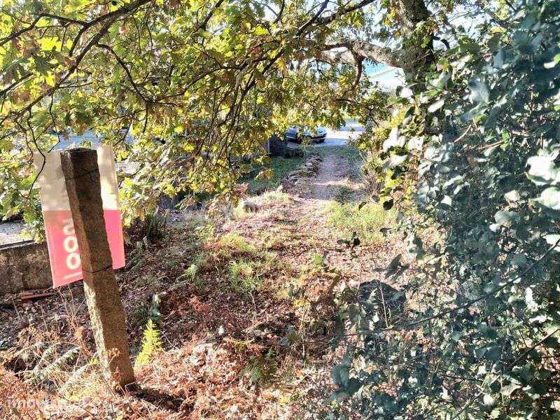 Terreno Rústico / Marco de Canaveses, Vila Boa do Bispo - Grande imagem: 3/6